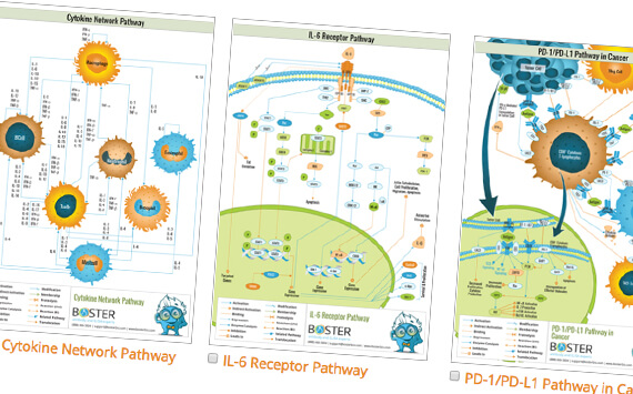 Request Top Poster Pathways